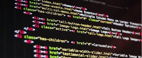 加拿大本科应该如何选择专业