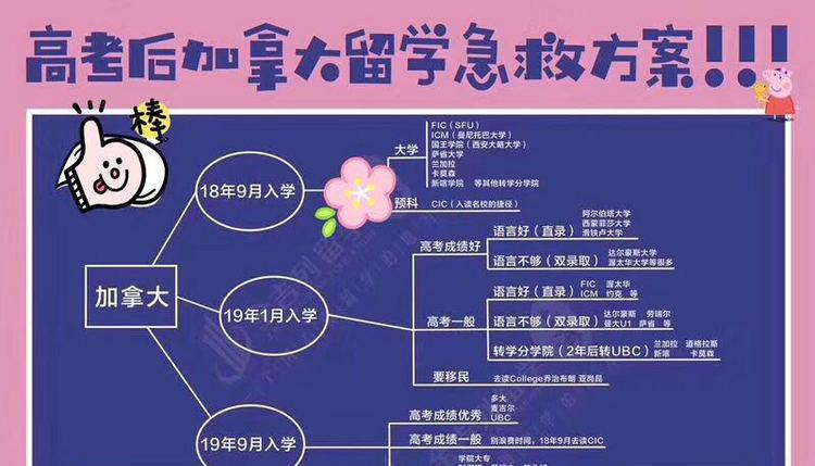 助力高考，全球名校留学方案汇总