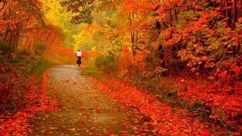 如何把控申请时间段？