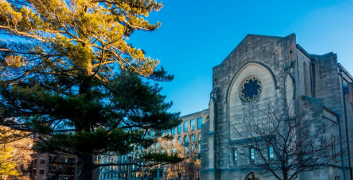 快来围观,张艺谋可能成了你的新校友! 快来围观,张艺谋可能成了你的新校友!