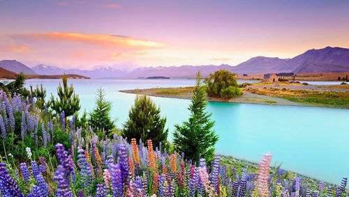 100% Pure New Zealand 100% Pure New Zealand