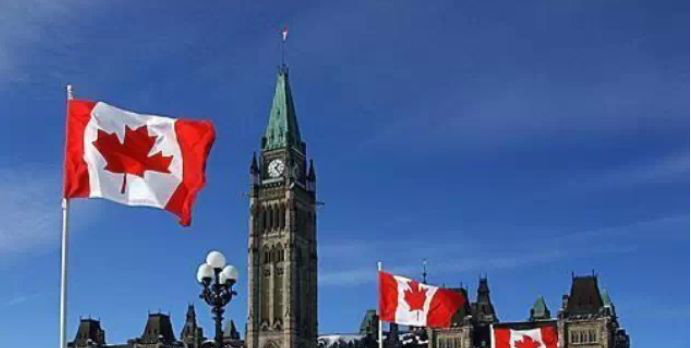 李爽老师带你了解布鲁克大学商学院