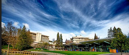 奥克兰大学理学,科目竟然这么多 奥克兰大学理学,科目竟然这么多