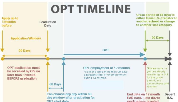 这样搞,才不会错失OPT机会 这样搞,才不会错失OPT机会