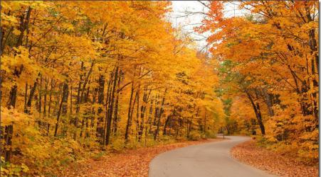 如何把控申请时间段？