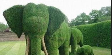 新西兰园艺专业了解一下？