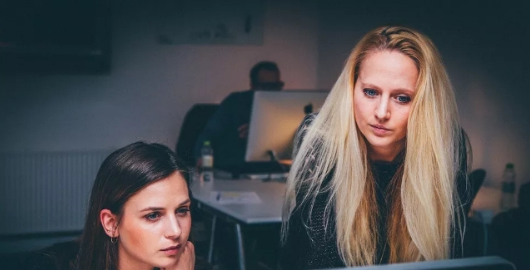 加拿大本科应该如何选择专业