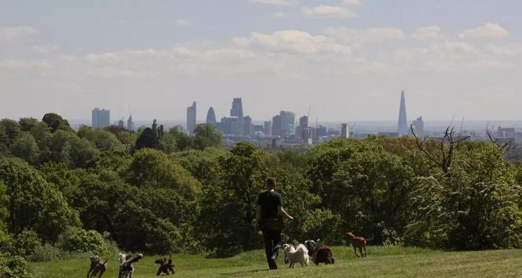 什么样的人会选择伦敦? 什么样的人会选择伦敦?