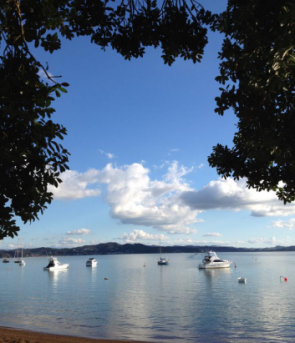 你可千万别来新西兰