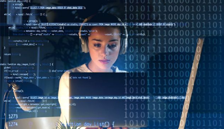 2019年美国本科文书申请题目！