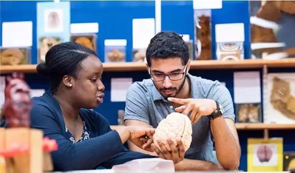 英国最好就业大学盘点! 英国最好就业大学盘点!