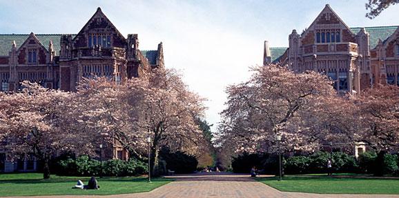 美国科技巨头最爱招聘哪些大学的毕业生？