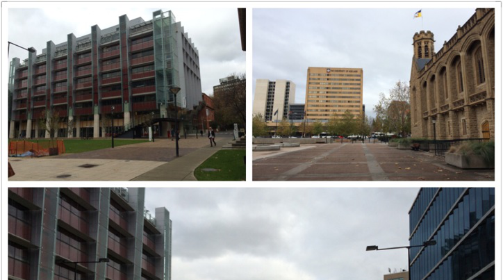 金牌顾问出访澳洲经验分享