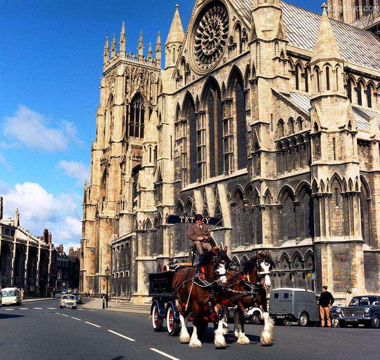 英国留学如何选择专业？