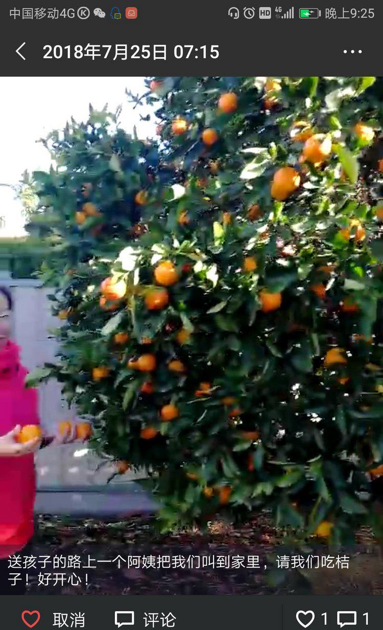 ☀澳洲低龄留学☀7-15岁学生和家长真实反馈