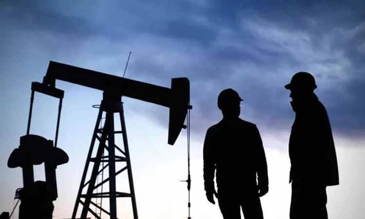 加拿大性价比高的10大专业