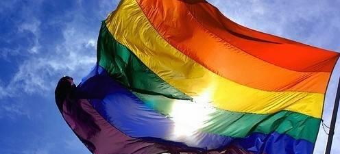 新西兰冷知识分享 新西兰冷知识分享