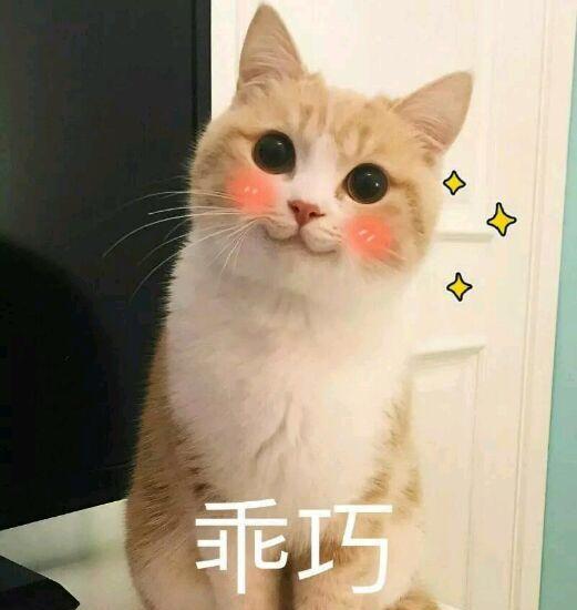 澳洲留学的三大新宠专业 澳洲留学的三大新宠专业