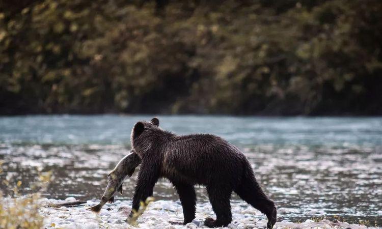 走近一点，仿佛进入一个爱丽丝世界的童话仙境