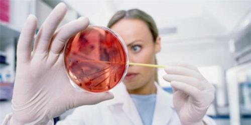 与死神对抗:公共卫生专业大揭秘 与死神对抗:公共卫生专业大揭秘