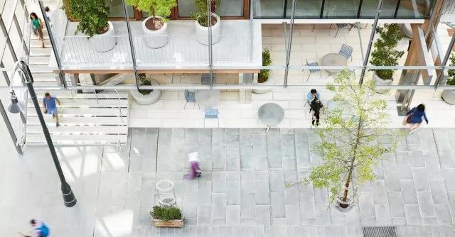 RMIT最新世界排名 RMIT最新世界排名