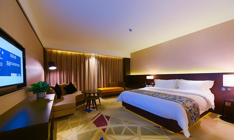 哪些是加拿大具有潜力的专业？