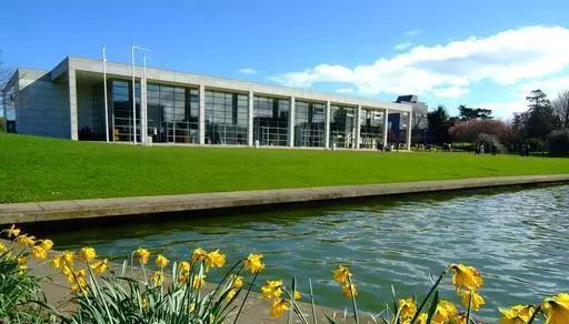 UCD八公里林荫道——与你浪漫邂逅