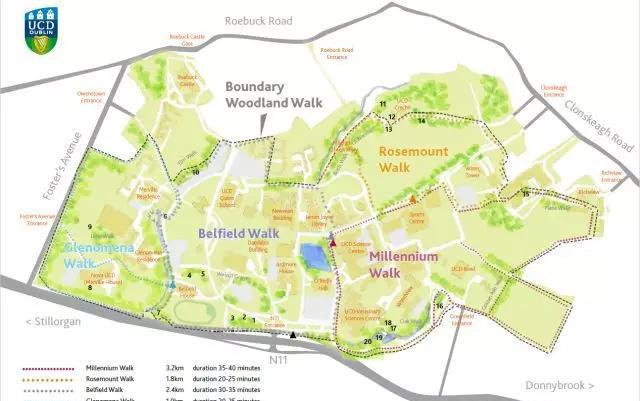 UCD八公里林荫道——与你浪漫邂逅