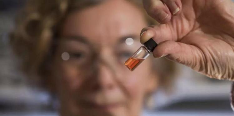 澳国立大学-带你看见世界上最古老的颜色 澳国立大学-带你看见世界上最古老的颜色