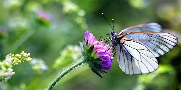 A-level数学与物理有什么关联？这分析我觉得很OK！