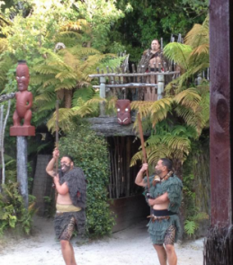 你可千万别来新西兰