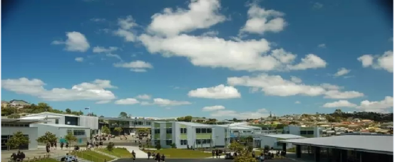 鲸鱼湾公立小学&mdash;&mdash;可接受短期游学