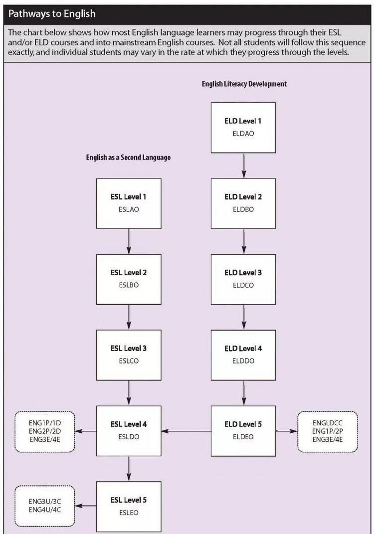 国际留学生如何提高英语水平？