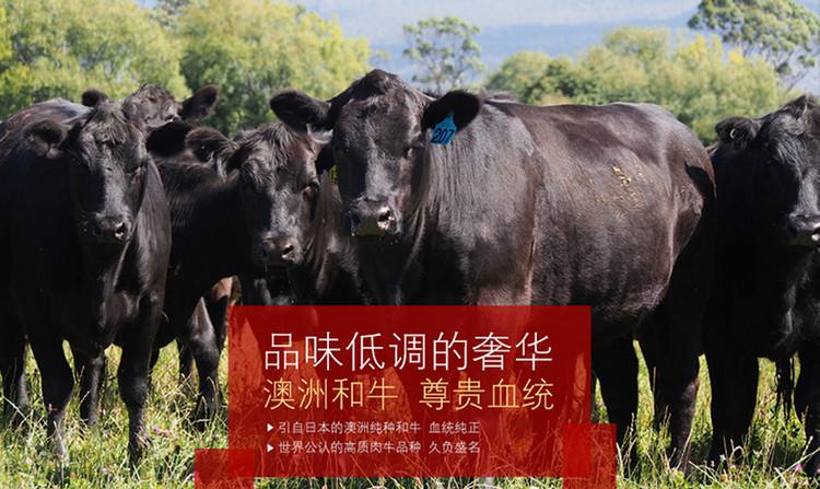 君悦酒店推出澳洲M9和牛美食 君悦酒店推出澳洲M9和牛美食