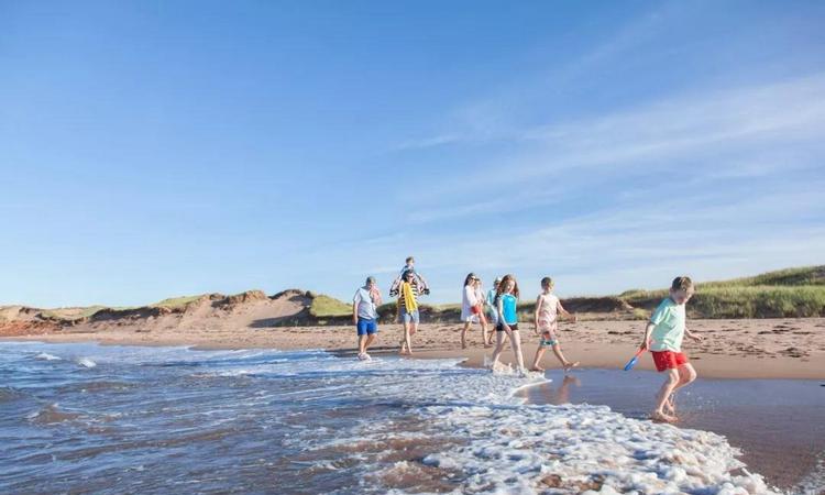 虽然我年轻，但我也有故事