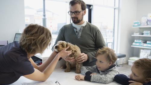 加拿大十大实力最强专业盘点