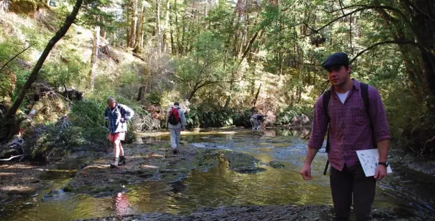 新西兰南方理工学院——环境管理专业详解