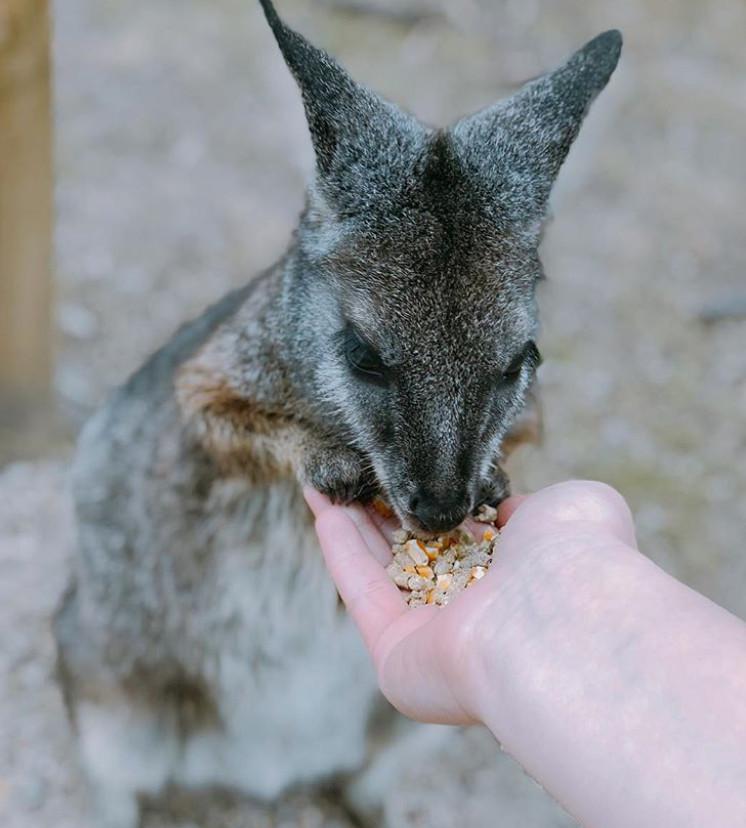 留学生必看的7大绝佳澳洲景致