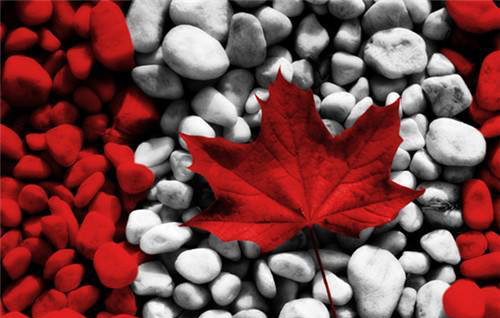 低龄留学为何首选加拿大？？