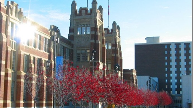 南阿尔伯塔理工学院