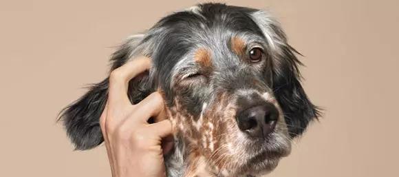 英国大学招生时,如果参考中国大学排名?只看2 英国大学招生时,如果参考中国大学排名?只看2