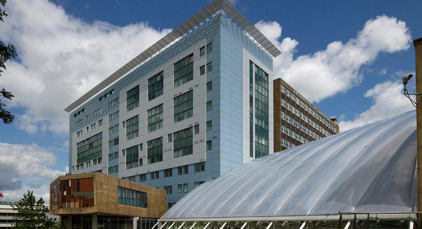 布拉德福德大学