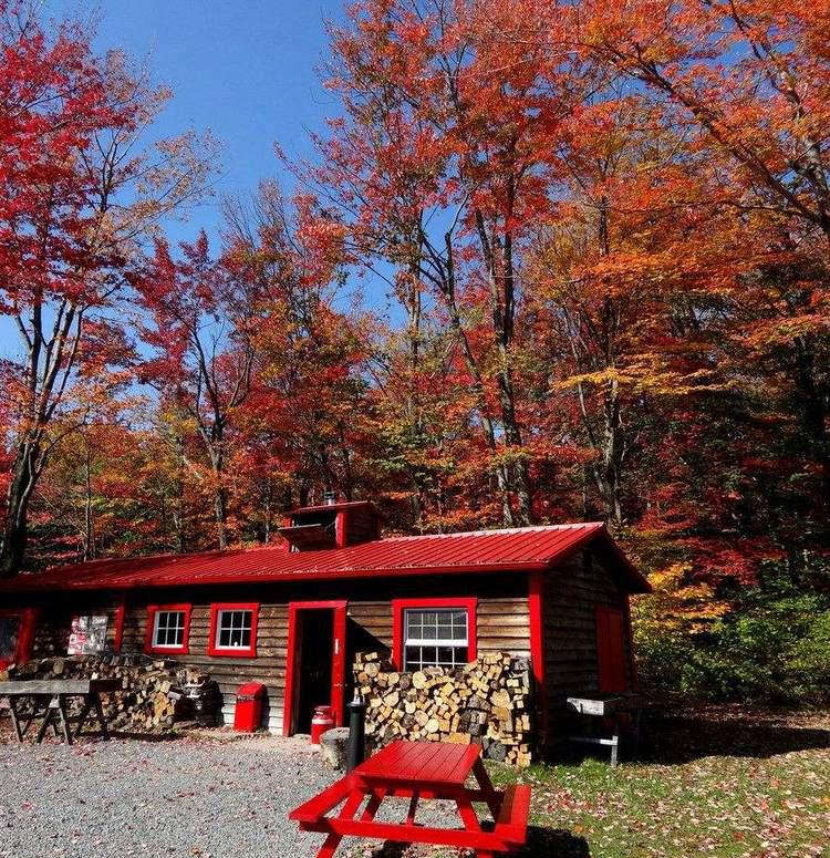 加拿大多伦多公立教育局知多少