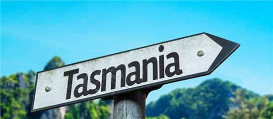 重磅，塔大国际奖学金来啦！