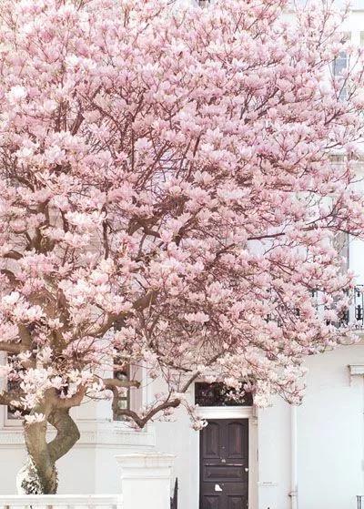 什么样的人会选择伦敦? 什么样的人会选择伦敦?