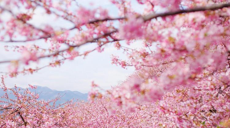 2018英国法定节假日一览