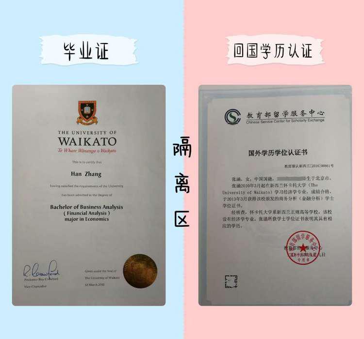 ELA是什么？