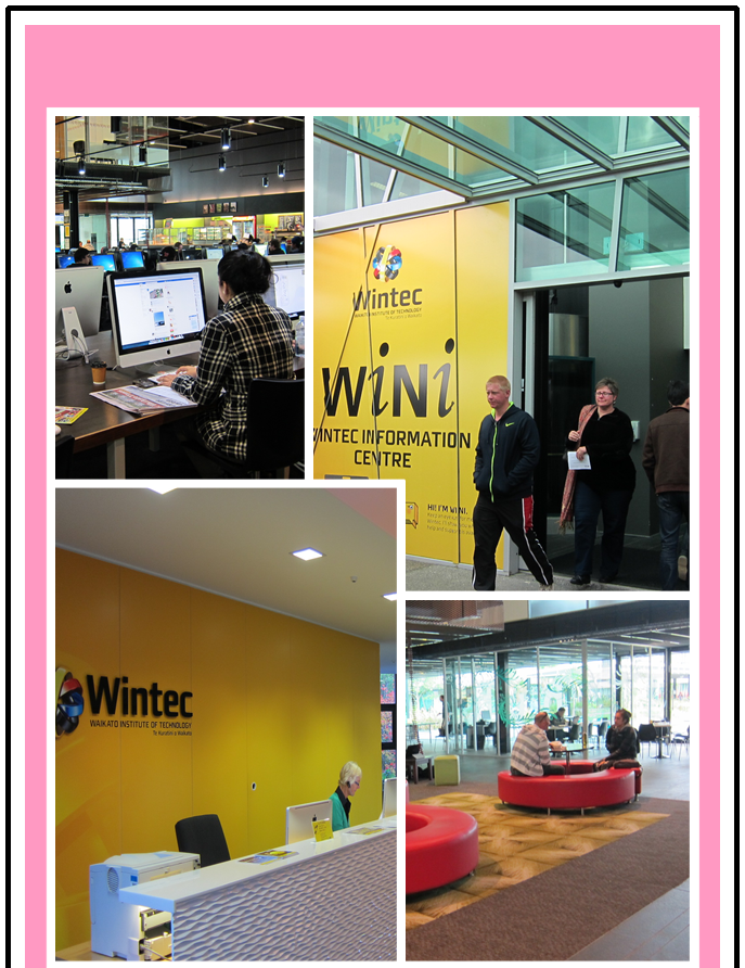 复读生免预科直读新西兰本科