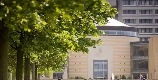 约克大学介绍及专业干货