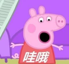 美国名校生空挡两年成功转学澳洲